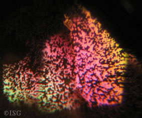 interference colours, International School of Gemology, Robert James, Schoolofgemology.com
