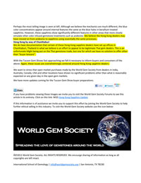 International School of Gemology, World Gem Society Hong Kong Sapphire Report Pg 3